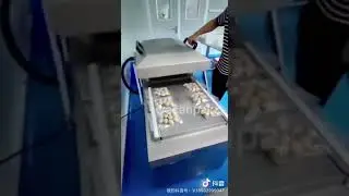Double chamber vacuum pmachine