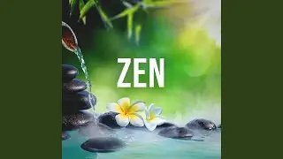 Zen, Pt. 20