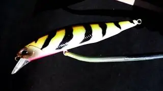 My view on DUO Realis 100SP