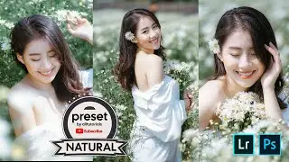 NATURAL TONE PRESET LIGHTROOM TERBARU