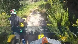 a little round always full throttle