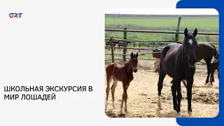 SCHOOL EXCURSION TO THE WORLD OF HORSES