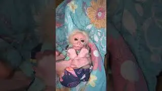 Биби крепко обняла свои ноги.