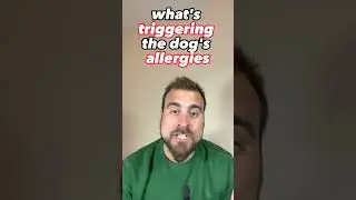 Allergy Test For Dogs. #dogfood #dognutrition #dog #petsathome