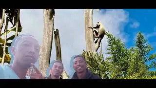 Jah fhayaro ft mapaza ft Asmec.........DEMOKIRAPY