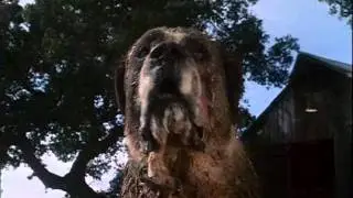 monster in cujo