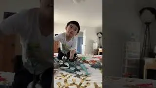 Sea animals, presented by Alex, our future youtuber. #alex #alexandre #seaanimals #futureyoutuber