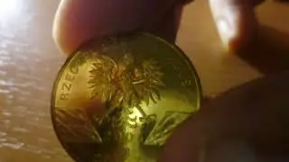 Обзор монеты 2 злотых Польша!!! Филин!!!