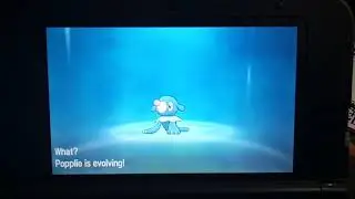 POPPLIO finally evolved into BRIONNE