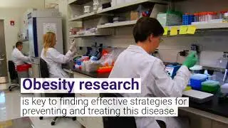 Roots of Obesity Prevalence and Research