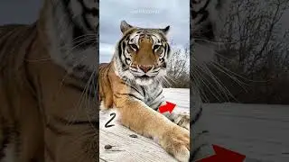 Hidden Power Unleashed!