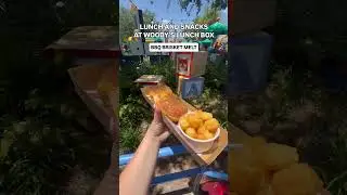 Delicious Lunch at Woody's Lunch Box - Disney's Hollywood Studios