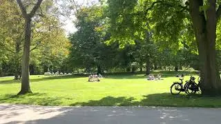 [4K] Walk Around Het Park Rotterdam Park HD