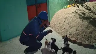 😲 Baby Dog🫵My new videos Dog My 🐕Hungry Cute Dog 😍 Like This Video Vilage 