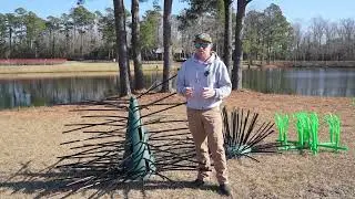 Fish Structure 101