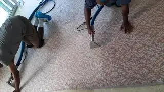 Wool Area Rug Hand Steam Cleaning