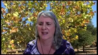Cuesta Library Poetry Reading: Fall Into Poetry
