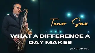 What a Difference a Day Makes &ndash; Tenor Saxophone Cover