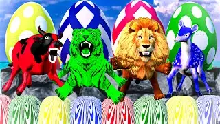 🌈 Giant Color Eggs with Wild Animals 🦁🐯🐮  Funny 3D Animals Learn Colors🥚