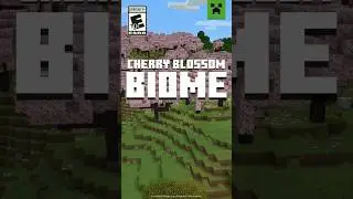 finally a new biome im Minecraft #minecraft #minecraftdaily