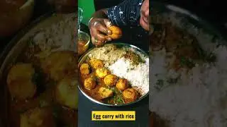Egg curry with rice eating
