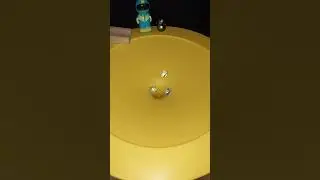 🐢🐢🐢 Epic Marble Race | oddlysatisfying | Marbles Run Race ASMR | Haba | Funnel | Jungle | chrome 🐢🐢