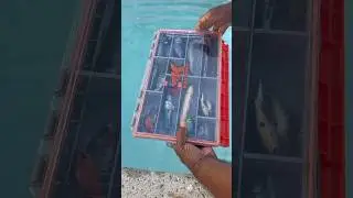 Kastking Hyper Seal Waterproof Tackle box #shorts #fishing