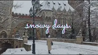 Snowy days. Budapest in winter. A montage.