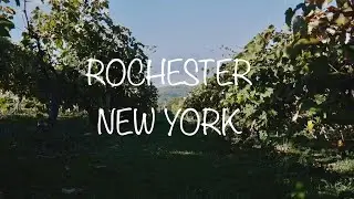 Rochester Videography | Grape Field | Videographer In Rochester New York