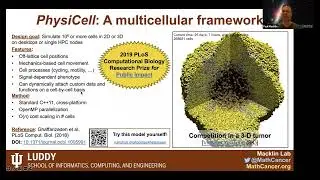 2022 Network Modeling Virtual Symposium Talk: Dr. Paul Macklin