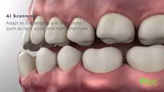 SMILE 2 KP ONE DENTAL