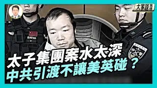 太子集團陳志被遣返中國 公安部公布四大罪名｜太子集團案水太深 中共突引渡不讓美英碰？【新聞大家談片段】2026-01-09