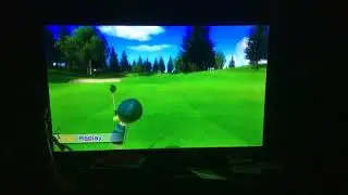 Wii Sports Resort Eagle Driver Shot