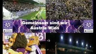 FK Austria Wien-Jungs aus Favoriten