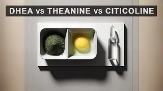 Stack Wars: DHEA vs Theanine vs Citicoline