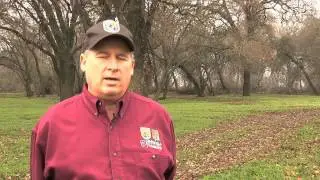 Wildlands Conservation Banking