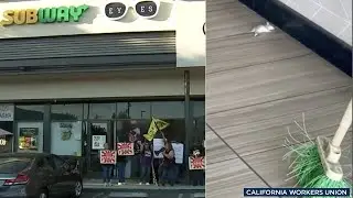 Subway restaurant shut down after rat infestation