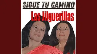 Sueños Falsos