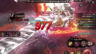 【CTB】TALION THE DRAGON BLOOD レイド the RAID
