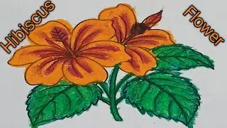 Yellow colour hibiscus flower drawing video. #hibiscusflower#flowerdrawing #flowerart