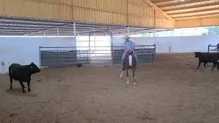 Munch-  2018 G. by Dual Smart Rey Jared lesh Cowhorses