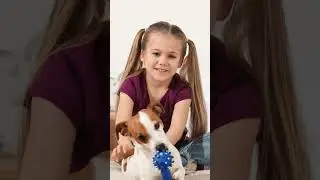 Why Do You Adore Your Pet   My Pet Matters