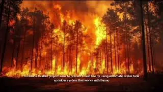 Prevention Of Forest Fire-just an idea for future prospects #saveforest#savewildlife 