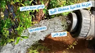 مزرعة فلاحية مساحتها 14هكتار محفظة للبيع طريق فاس نواحي مدينة مراكش
