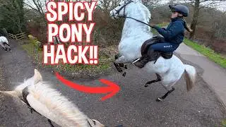 SPICY Pony Forest Hack! GoPro POV horse riding with Harlow, Claudia and Lexi!