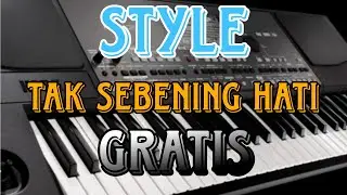 style, TAK SEBENING HATI, korg pa 300 600 700,triaz 2020