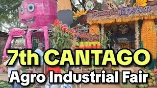 Walking Tour/7th Cantago Festival/Our Lady of Candelaria/Agro Industrial Fair