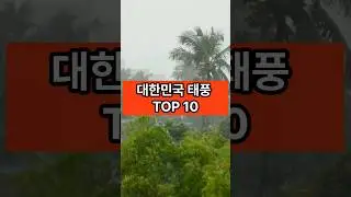 최악의 태풍 TOP 10
