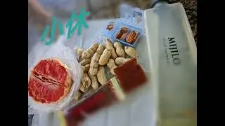 愛步行＞泰亨村(上)。