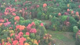 Catskill Mountain Fall Foliage 2010
